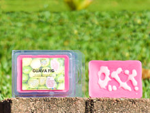 Load image into Gallery viewer, Guava Fig Wax Melts - Payton London Soap Co.
