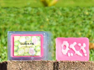 Guava Fig Wax Melts - Payton London Soap Co.